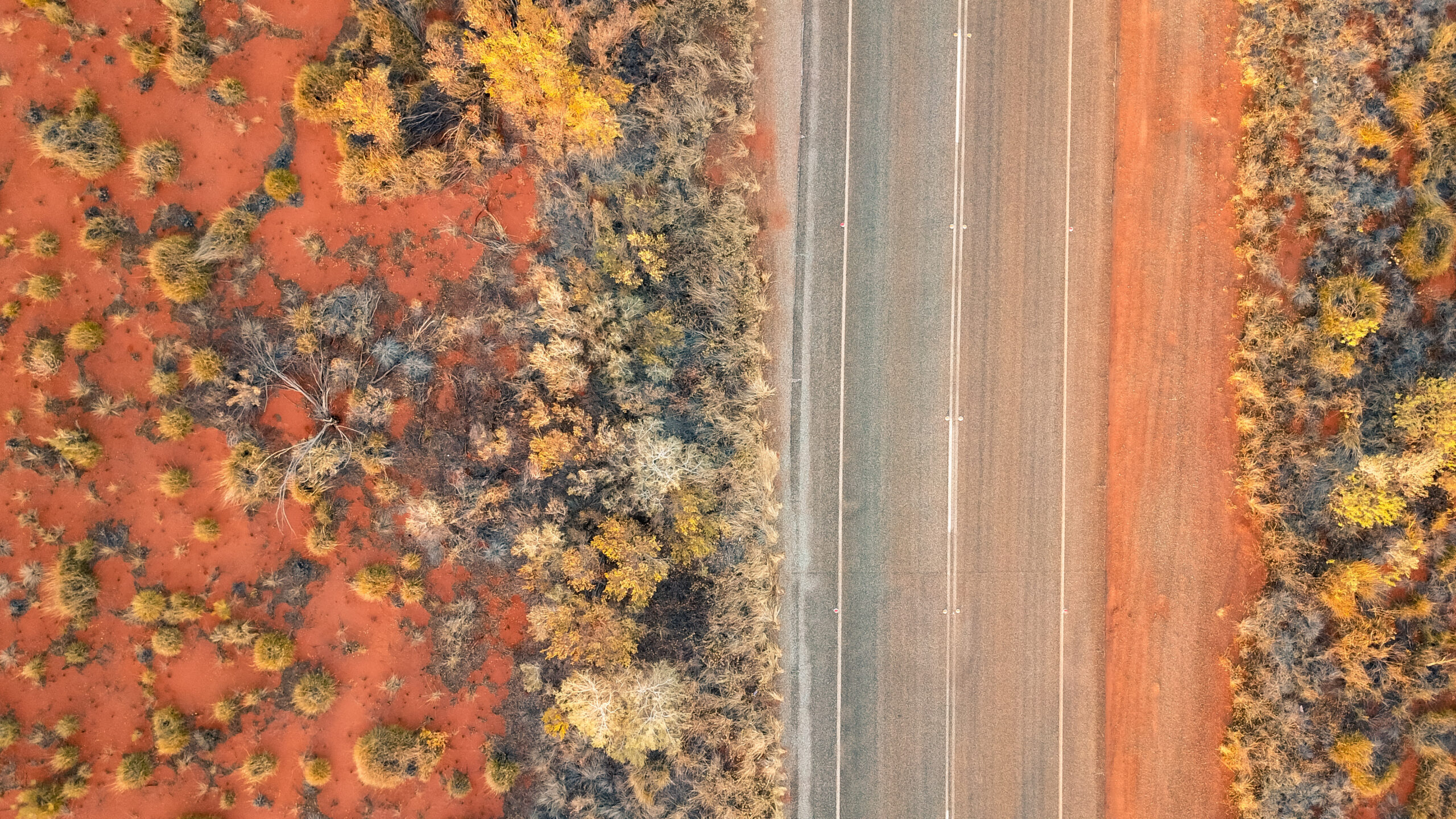 FBT 2026 Quick-Reference Guide