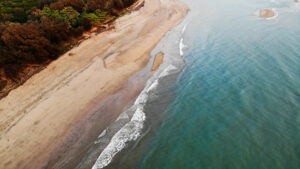 Monthly Tax Update Marhc 2026