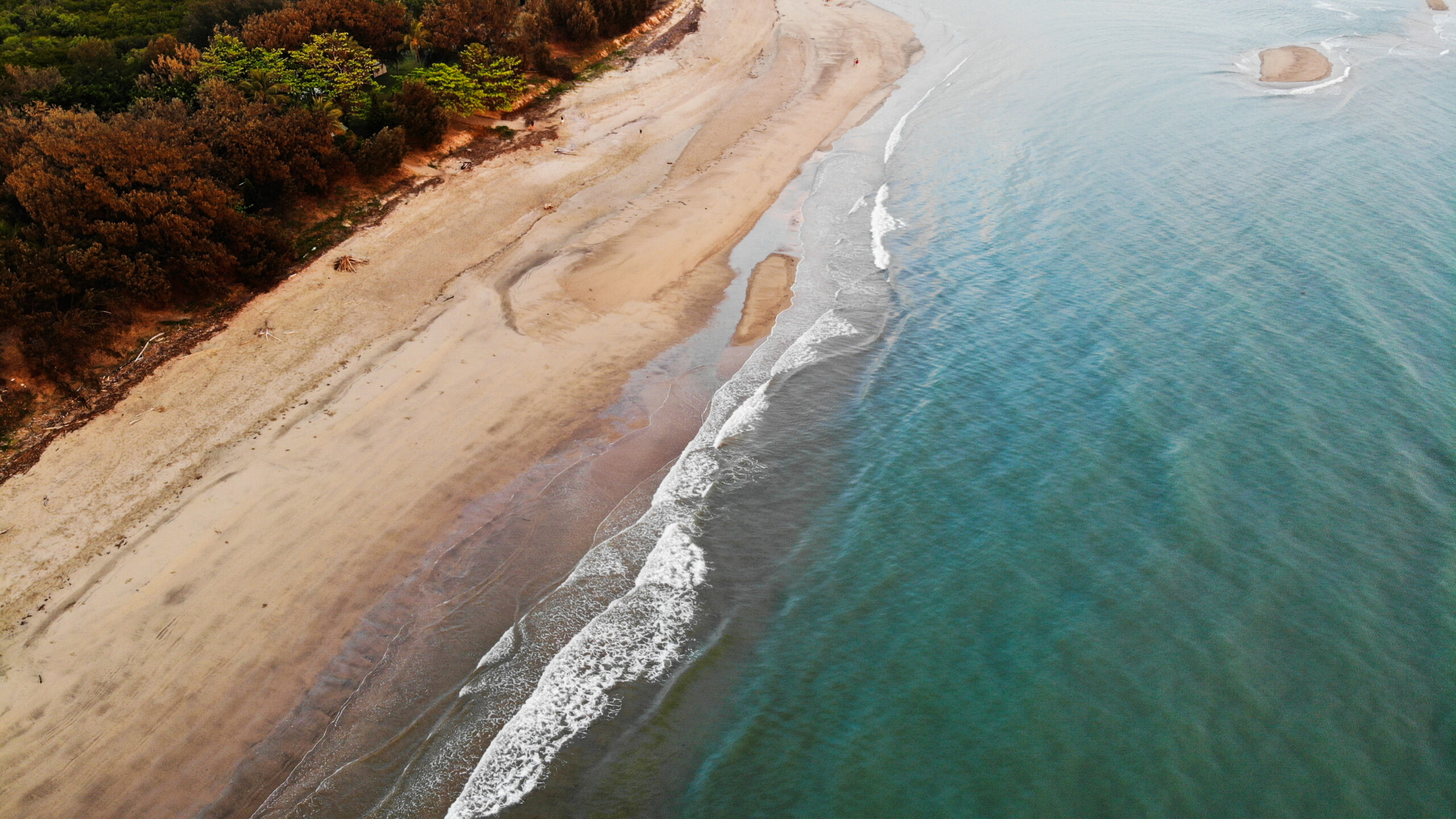 Monthly Tax Update Marhc 2026